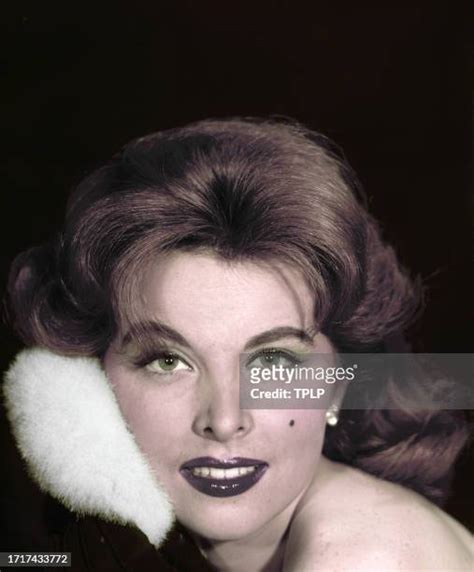 2,085 Tina Louise Photos & High Res Pictures